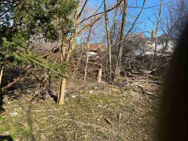 Testing again(4).jpg